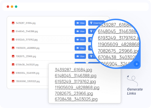 File Browser