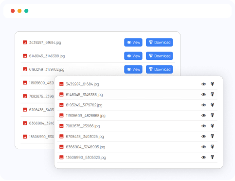 File Browser