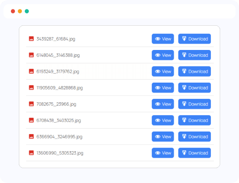 File Browser