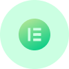 Elementor Widget